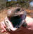 Icon #2